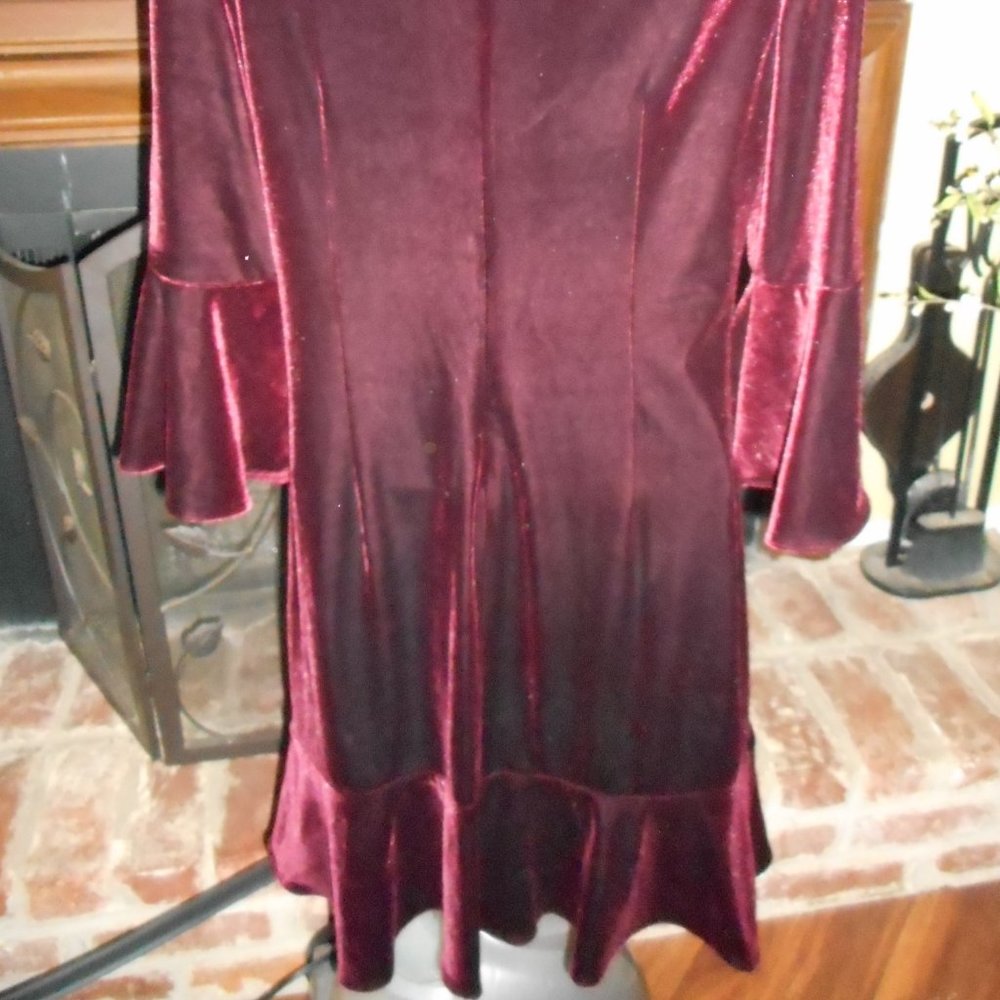 NWT Ralph Lauren burgundy velvet dress, 4 - Picture 11 of 13